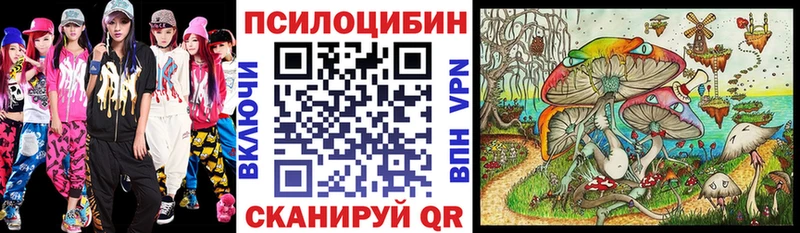 где можно купить   Тара  Галлюциногенные грибы Magic Shrooms 